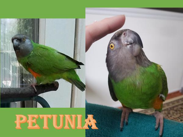 /Images/uploads/Congregation Beth Emeth/bethemeth/entries/17540thumb.jpg